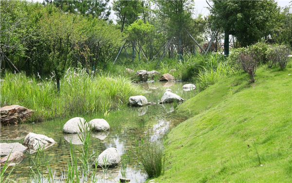 園冶杯參賽作品丨嘉魚縣濱江生態(tài)提升