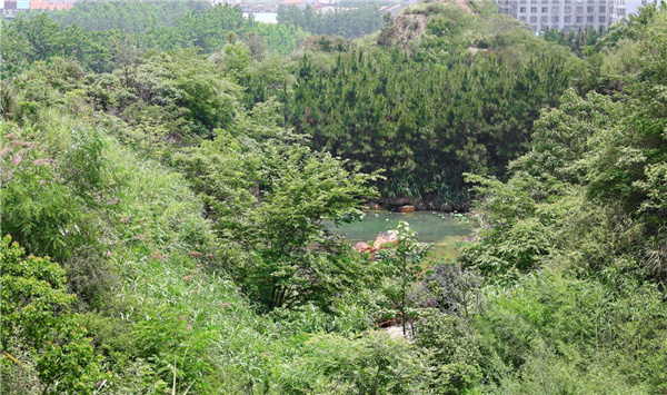 園冶杯參賽作品丨嘉魚縣濱江生態(tài)提升