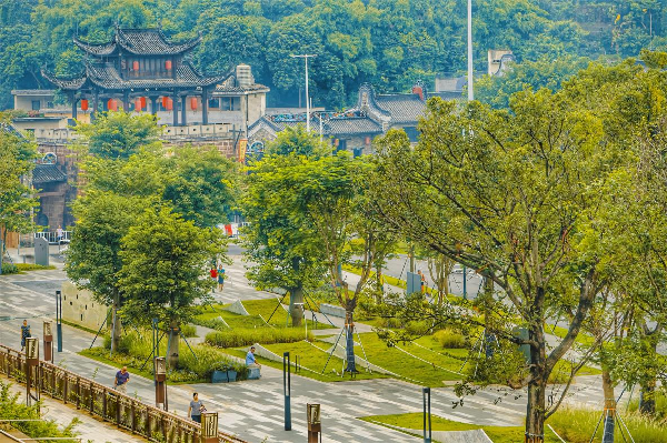 慢行系統——城市的毛細血管如何設計？