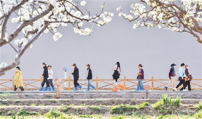 中國(guó)文旅市場(chǎng)春意盎然