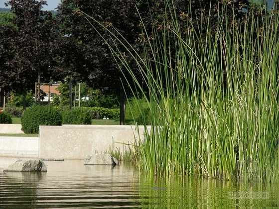Garten Studio事務(wù)所設(shè)計(jì)的Graphisoft公園