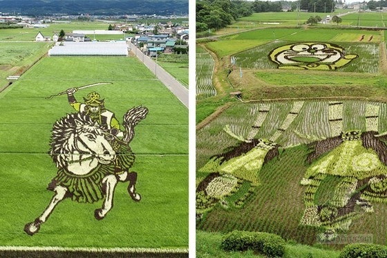 日本田舍館村村民設(shè)計(jì)的巨型稻田插畫藝術(shù)