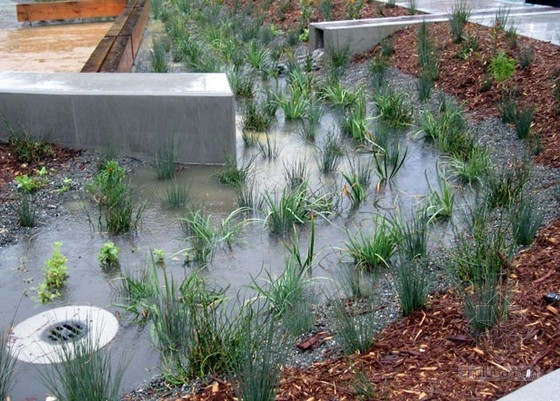 希拉門(mén)托圖書(shū)館雨水花園