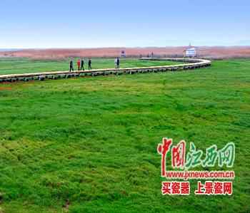 江西濕地，拿什么保護(hù)你(圖)