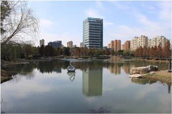精品園林獎金獎：中新生態(tài)大廈景觀綠化工程