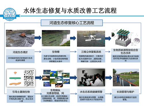 張飲江教授：水質生態(tài)修復景觀構建