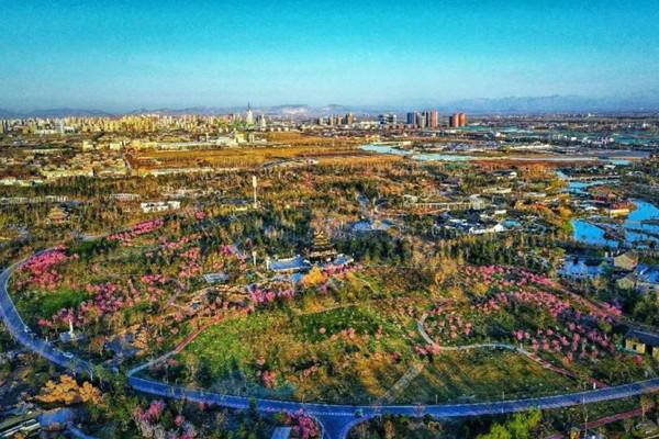 河北邢臺(tái)：園博園梅嶺成最新網(wǎng)紅打卡地