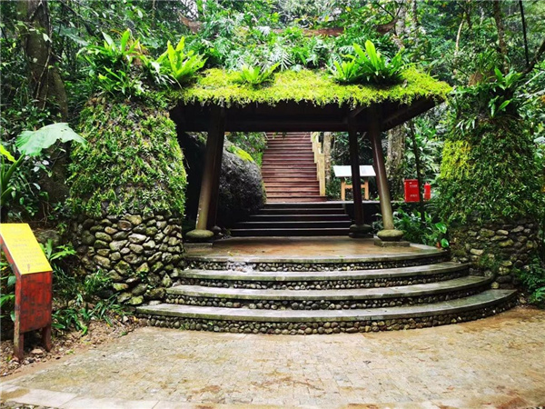 園冶杯金獎(jiǎng)作品丨五指山熱帶雨林谷道