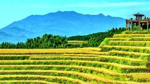 休閑農(nóng)業(yè)如何深挖鄉(xiāng)村特色？