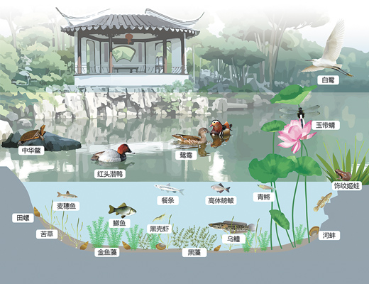 蘇州園林，何以展現(xiàn)生態(tài)意境？